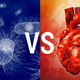 Your Stupid Gut Wants to Kill Your Dumb Heart